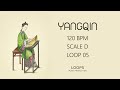 FREE Yangqin Loops (Royalty Free) | Traditional Chinese Instrument for Music Producers | D | 05