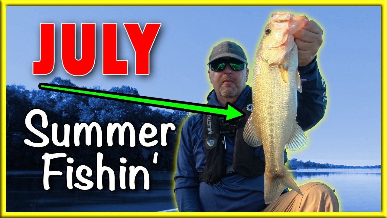 Hot July Summer Bass Fishing The Local Pond