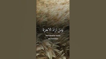 #القارئ سعد الغامدي #ehsas_quran #quran #راحة_نفسية #قرآن #سعد_الغامدي #viralvideo