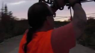 New Brunswick Moose 2017 Trying To Harvest A Young Bull Moose With Bow And Arrow