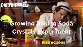 Growing Baking Soda Crystals Experiment (Segment from World's Most Exciting Classroom Episode 29)