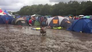 Funny Music Festival Fails Falls Compilation 2018