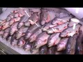 Disas fish Рыбный магазин в Финляндии. Цены, ассортемнет и шокирующая еда.