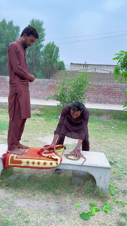 sanp se allah ne bacha lia #india #usa #new #reel #funny #vfxmahjabeen #comedy #allah