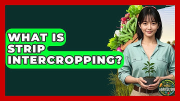 What Is Strip Intercropping? - The World of Agriculture