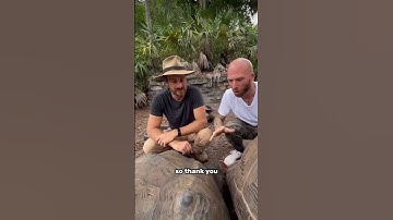 Saving a turtle nest update