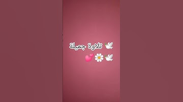 #egzonibrahimi #سورة_الإخلاص #ikhlas #اكسبلور #المصحف #الرحمن #لايك #quran