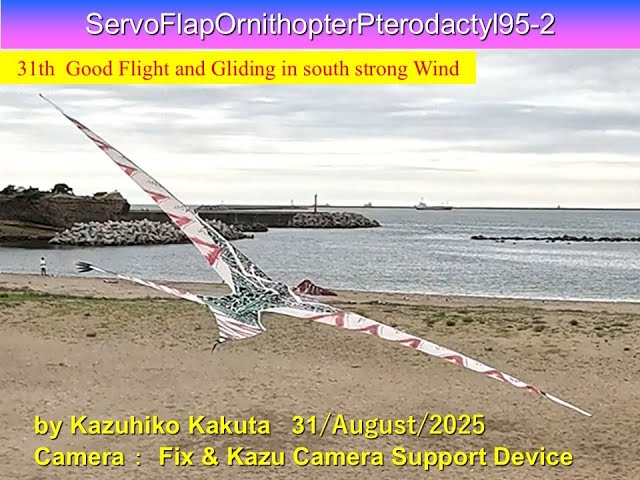 サーボ駆動短尾翼竜型羽ばたき機 SFOPterodactyl95-2 30g