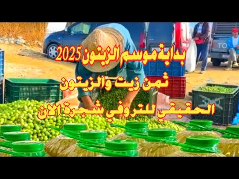 ها شحال واصل ثمن زيت والزيتون 2025 للتر وشحال داير في شجرة الزيتون انخفاظ كبير في اسعار الزيتون