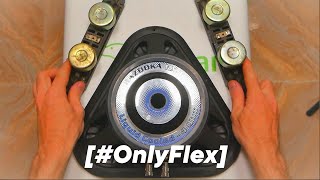 NORMAL SPEAKERS [#OnlyFlex]