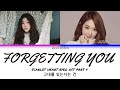 Davichi 다비치 Forgetting You 그대를 잊는다는 건 Moon Lovers Scarlet Heart Ryeo OST Part 4 ColorCoded 가사