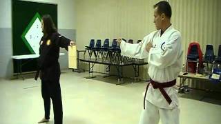 Halfmoon Kick Board Break 1