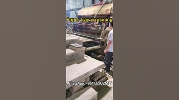 Efficiency Redefined: Exploring the Egg Tray Production Line #eggtray #egg #recycle #recycling