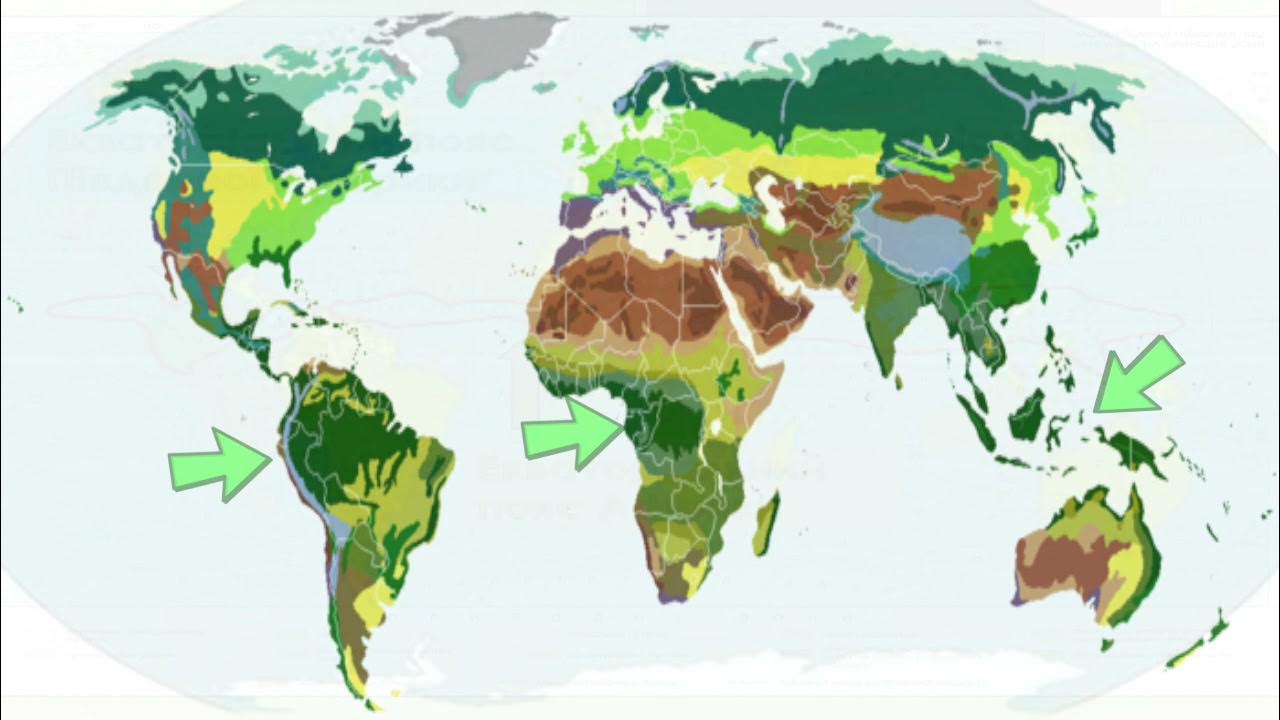 Районы распространения природных зон. Природные зоны земли карта.