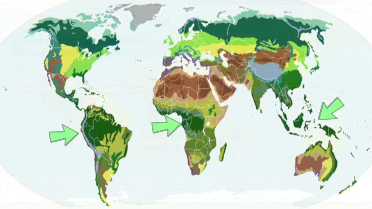 Природные зоны земли биология 5. Природные зоны земли карта.