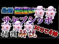 30分で4体!色違いサケブシッポ捕獲方法解説【ポケモンSV】