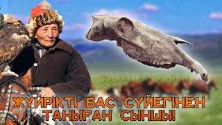 СЫНШЫ АТАСЫ - ТОЛЫБАЙ