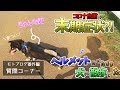 奇行種？　ヘルメットを被ったまま犬の散歩をするバイク乗り　～自粛の末期症状～　【モトブログ番外編　質問コーナー】