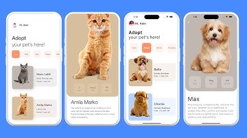 Pet Adoption App Flutter | Flutter Pet App UI