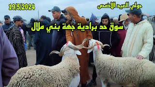 مباشرة من قلب سوق حد برادية جهة بني ملال 19/5/2024مع تمن حولي العيد🐏🐑🇲🇦