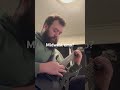 #youtube #newriff #guitarist #youtubeshorts #music #midwest #emotional #songwriter #song #musician