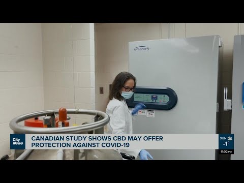 New study shows CBD may protect against COVID-19
