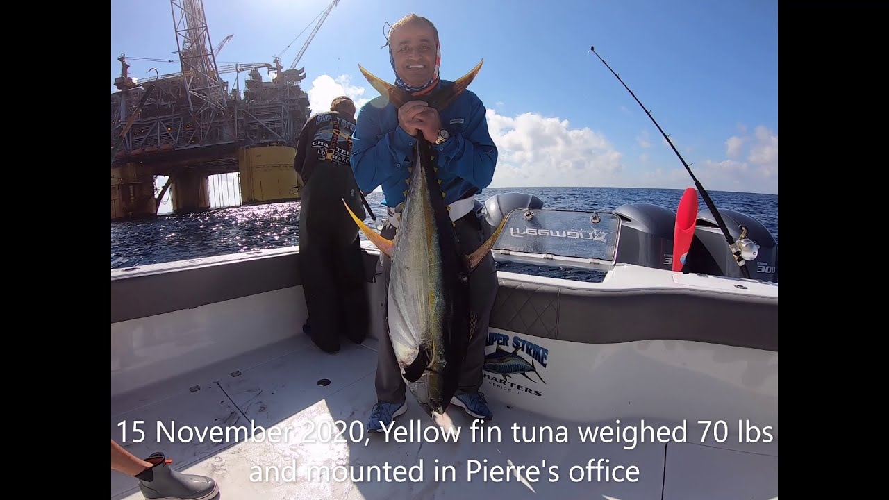 Super Strike Charters Tuna Fishing Venice Louisiana, King Pierre reeling in  a big yellow fin tuna 