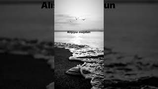 Metin Özülkü&Eda Özülkü Unutulmuş Muydum Resimi