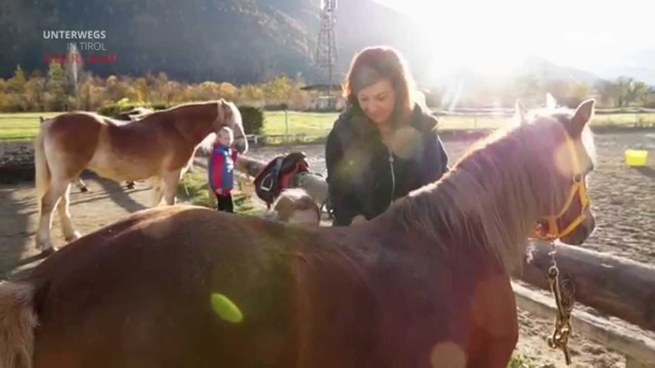 Reiten Tv Reiten Tv