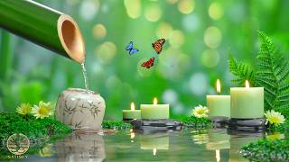Healing Piano Music and Anxiety Relief 🌿 Calming Music for Sleep, Meditation, Relaxing Water Sounds screenshot 2