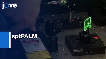 sptPALM for Visualizing Protein-DNA Interactions | Protocol Preview