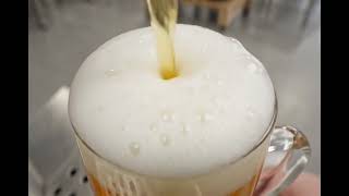 Draft Beer Logo Flip.mp4
