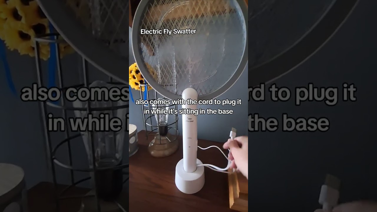 Electric Fly Swatter Zaps Flies, Mosquitos, and Moths! 