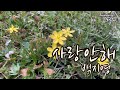 [색소폰연주] 사랑안해-백지영. Saxo cover W. Peter