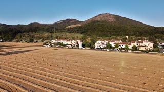 Bagnolo e i suoi meravigliosi campi di grano