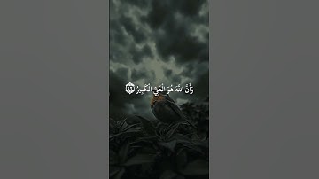 🔊 قرآن – تلاوة مؤثرة تريح القلب وتطمئن الروح 🤍📖 { ألا بذكر الله تطمئن القلوب }🌙 لا تنسوا مشاركة الخر