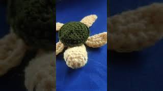 tortoise #trendingshorts #tortoiseshorts #tortoise 🐢🐢
