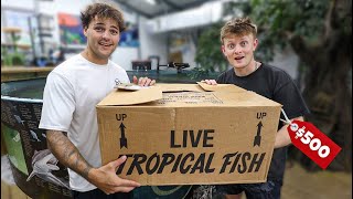 BUYING NEW EXOTIC FISH FOR MY POND!!