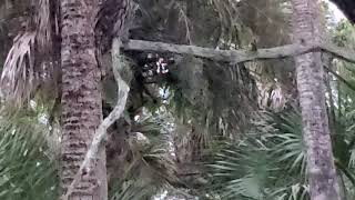 20191108_173449.mp4 Net Worth