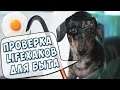 ПРОВЕРКА ЛАЙФХАКОВ С канала OUR VIDOS TV и GopherVid - вскрываем!