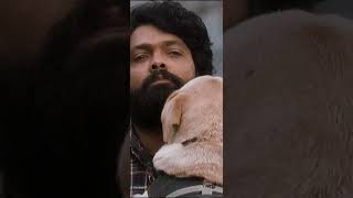 777 Charlie Movieudhayame Nee Ariyumo Songwhatsapp Status