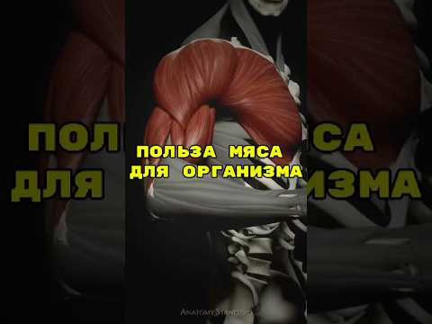 Лучшее мясо для организма #здоровье #зож #правильноепитание #мясо #организм