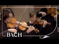 Bach - Cantata Erfreute Zeit im neuen Bunde BWV 83 - Sato | Netherlands Bach Society