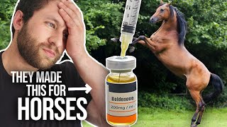 Equipoise "Horse Steroid" Boldenone Explained screenshot 2