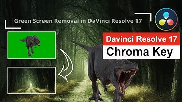 Green Screen Video - Chroma Key Color in DaVinci Resolve