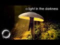 Sleepify  a light in the darkness  instrumental piano music