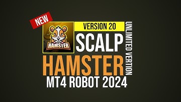 Hamster Scalping EA v20 - Back-TEST & Unlimited Version Download