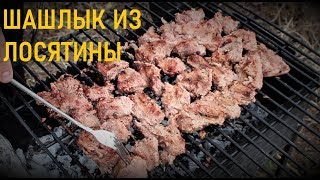 ШАШЛЫК ИЗ ЛОСЯТИНЫ (Эксперимент) ШАШЛЫК ИЗ ЛОСЯТИНЫ (Эксперимент)