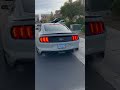 Mach 1 Mustang Exhaust Sound 🏎️