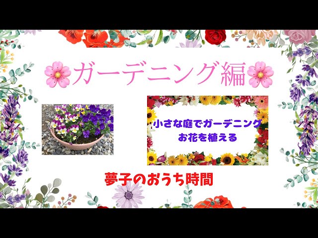 ガーデニング 小さな庭 隙間花壇に見切り品のお花を植える ミニひまわりとマリーゴールド Diy初心者 掃除 片付け 庭仕事 ガーデニング 50代 ガーデニング編 Total No 287 Youtube